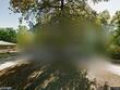 7725 cleveland ave, kansas city,  KS 66109