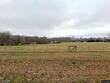 2941 summertown hwy, summertown,  TN 38483