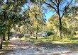  bushnell,  FL 33513