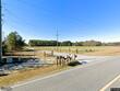 873 mock rd, springfield,  GA 31329