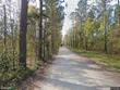0 jenkins club road, cottageville,  SC 29435