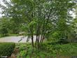 802 east st, marathon,  WI 54448