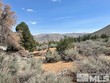 lot g5 dry canyon road # g5, coleville, ca,  CA 96107