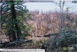 6xxx moose bay trail, ardenhurst twp,  MN 56661