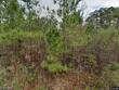 36 towne park ct, rincon,  GA 31326
