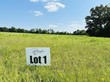 dugout road, summertown,  TN 38483