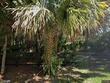535 sw linden st, stuart,  FL 34997
