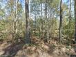 96 wirsching ln, walterboro,  SC 29488
