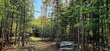 8376 amber lake rd w, lac du flambeau,  WI 54538