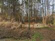 1715 fire department rd, clayton,  NC 27527