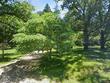 13371 32nd st, gobles,  MI 49055
