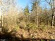 169 chester thomas rd, springfield,  GA 31329