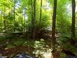 7566 old woods rd, tully,  NY 13159