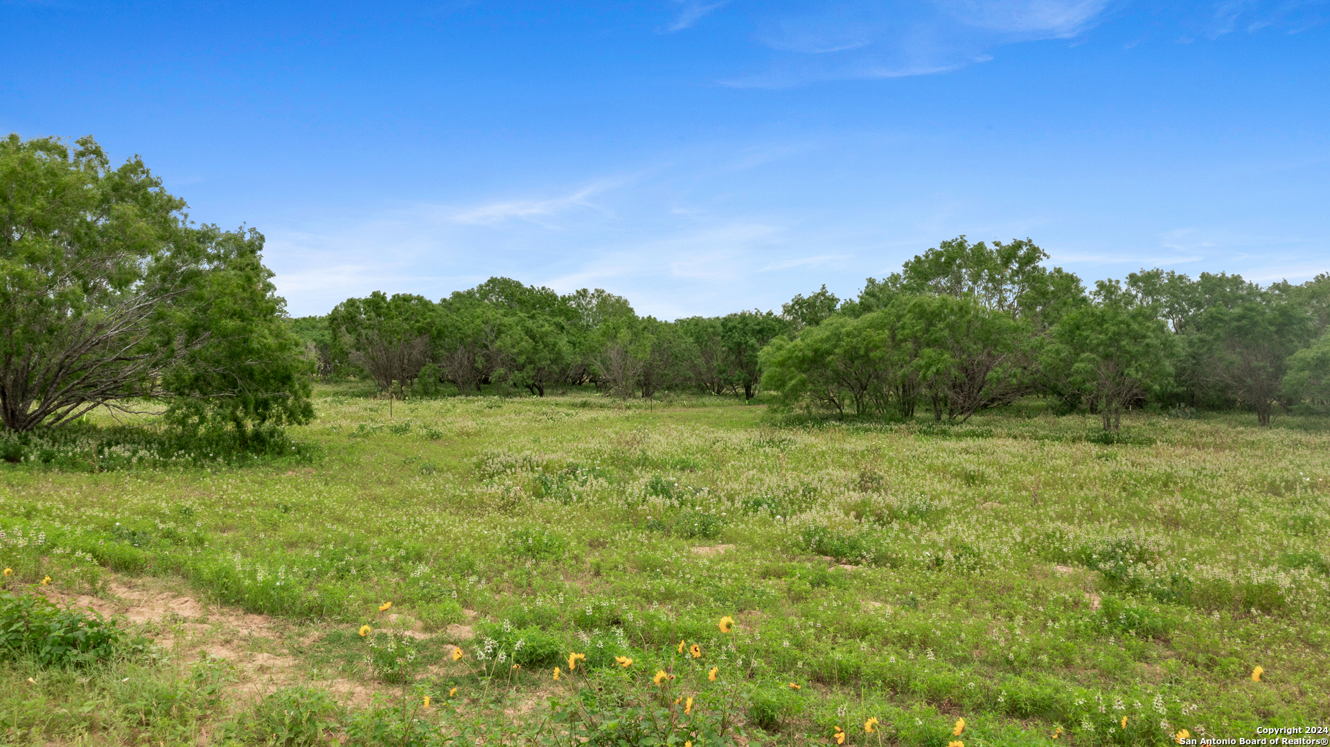 1467 county road 120 unit b, floresville,  TX 78114