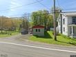  willet,  NY 13863