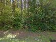  wake forest,  NC 27587