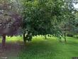 rotterdam junction,  NY 12150