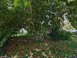  stuart,  FL 34994