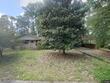  columbia,  SC 29205