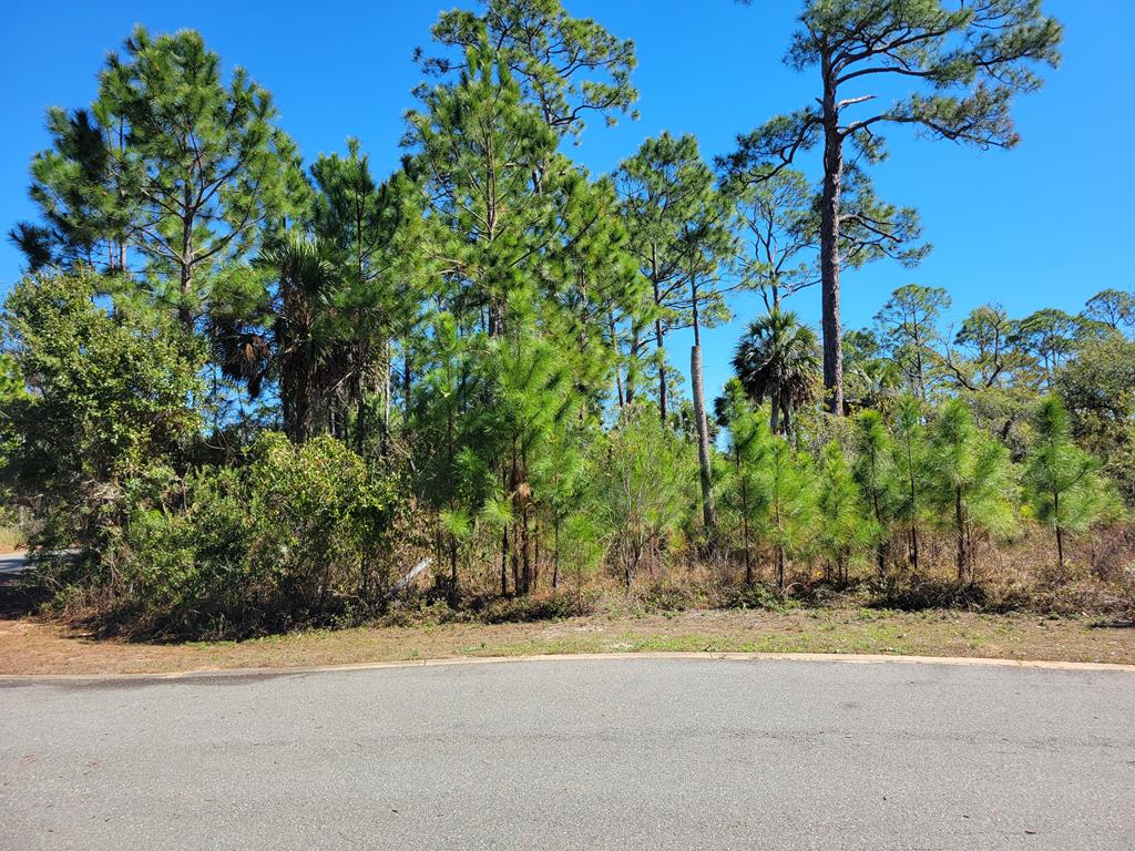 lot 13 sweet bay ln, port st. joe,  FL 32456