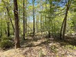 000 orchard view trail, spruce pine,  NC 28777