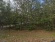  middleburg,  FL 32068