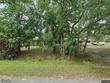  green cove springs,  FL 32043