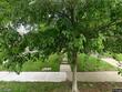 6127 main st, kansas city,  MO 64113