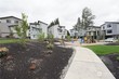  lynnwood,  WA 98037