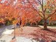 1105 jackson ct, liberty,  MO 64068