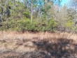 sw 137th street, waldo,  FL 32091