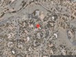 118 e sunrise dr, santa fe,  NM 87506