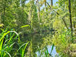 96 crumley rd, walterboro,  SC 29488