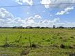 8146 cr 614a, bushnell,  FL 33513