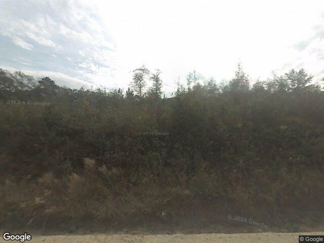 343 pleasant acres rd, springfield,  GA 31329