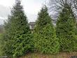 372 sandy point rd, emlenton,  PA 16049