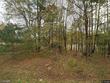 284 bandelier dr lot 11
                                ,Unit Lot 11, selma,  NC 27576