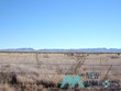 40 acres in pa grant #33, engle,  NM 87935