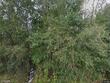 4504 se 2nd ave, keystone heights,  FL 32656