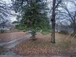2321 s scott ave, independence,  MO 64052