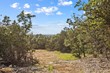 lot 14 ridgeway trail, johnson city,  TX 78636