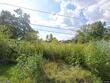710 elliott st, buckner,  MO 64016