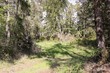 27702 v st, ocean park,  WA 98640