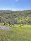 sand creek road, arbuckle,  CA 95912