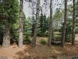 1280 drager rd, eagle river,  WI 54521