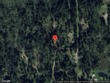  bellingham,  WA 98229