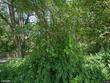 211 sweetland rd, cortland,  NY 13045