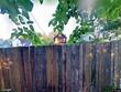 4921 alhambra ave, baltimore,  MD 21212