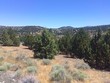 0 adam road, canyon city,  OR 97820