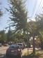  south ozone park,  NY 11420